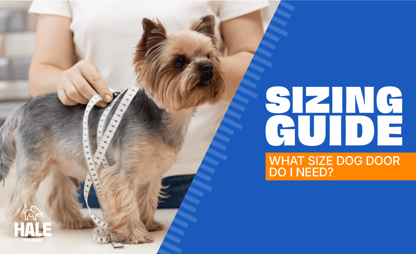 Pet Door Sizing Guide Banner