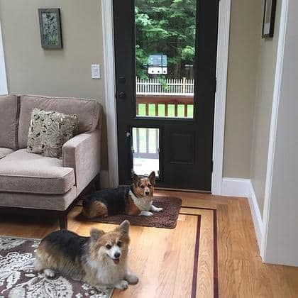Door Model