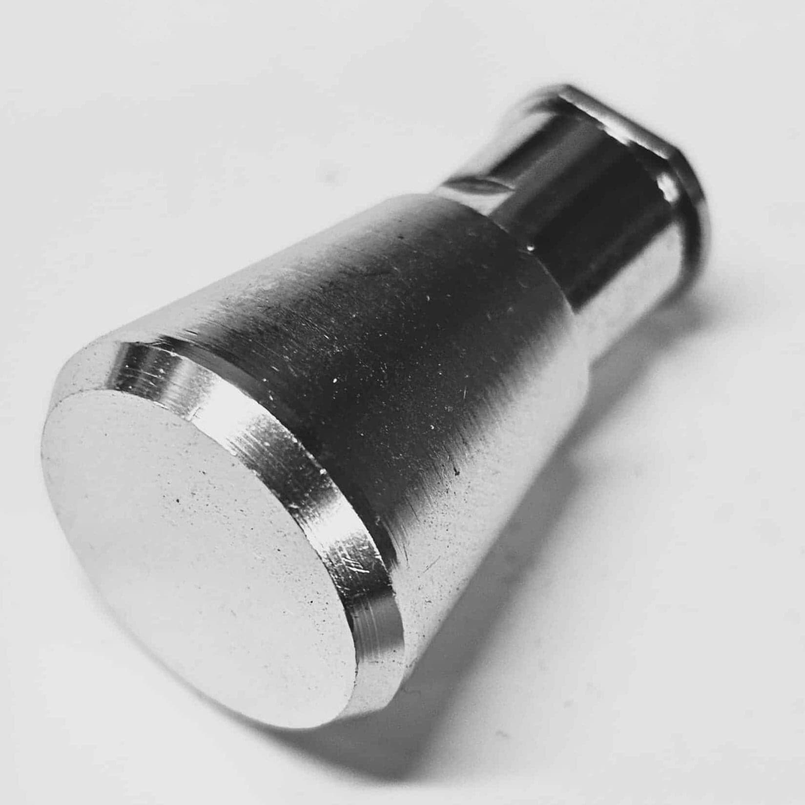 Pet Door Plunger Lock